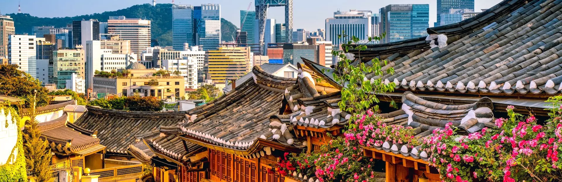 Music And Performance