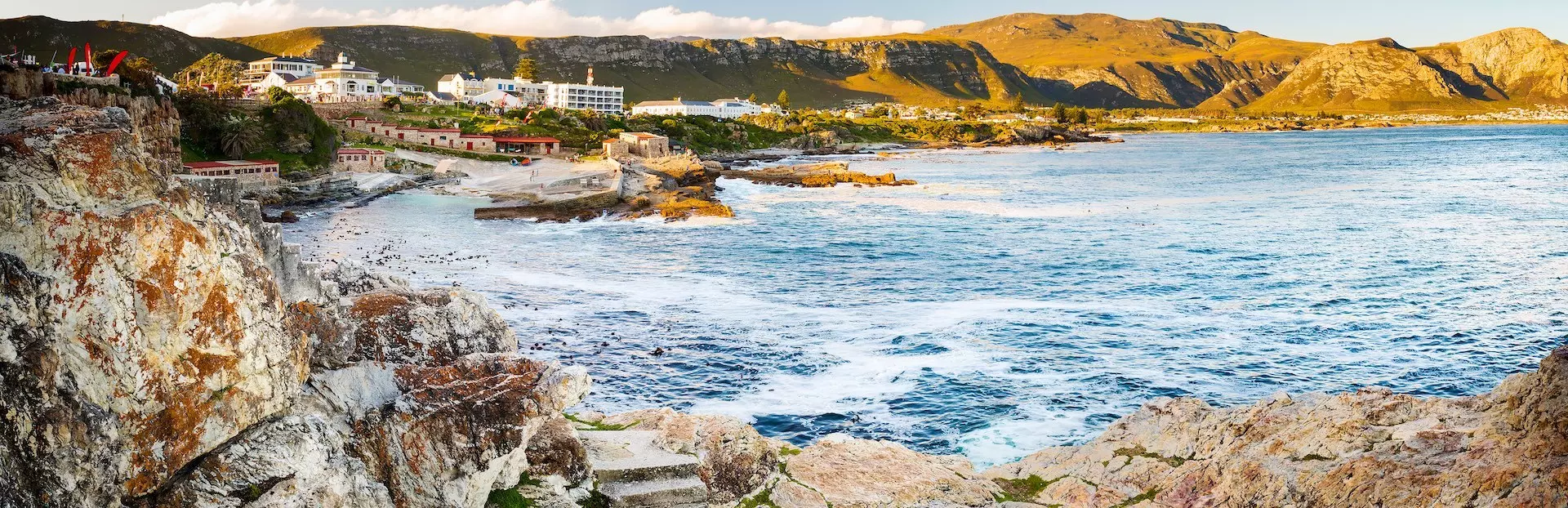 Hermanus