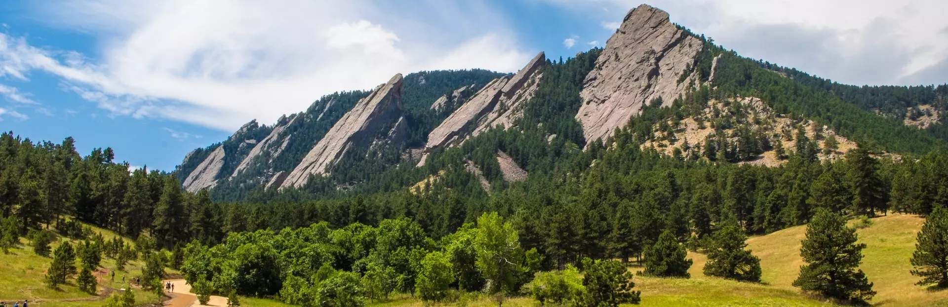 Business And Commerce