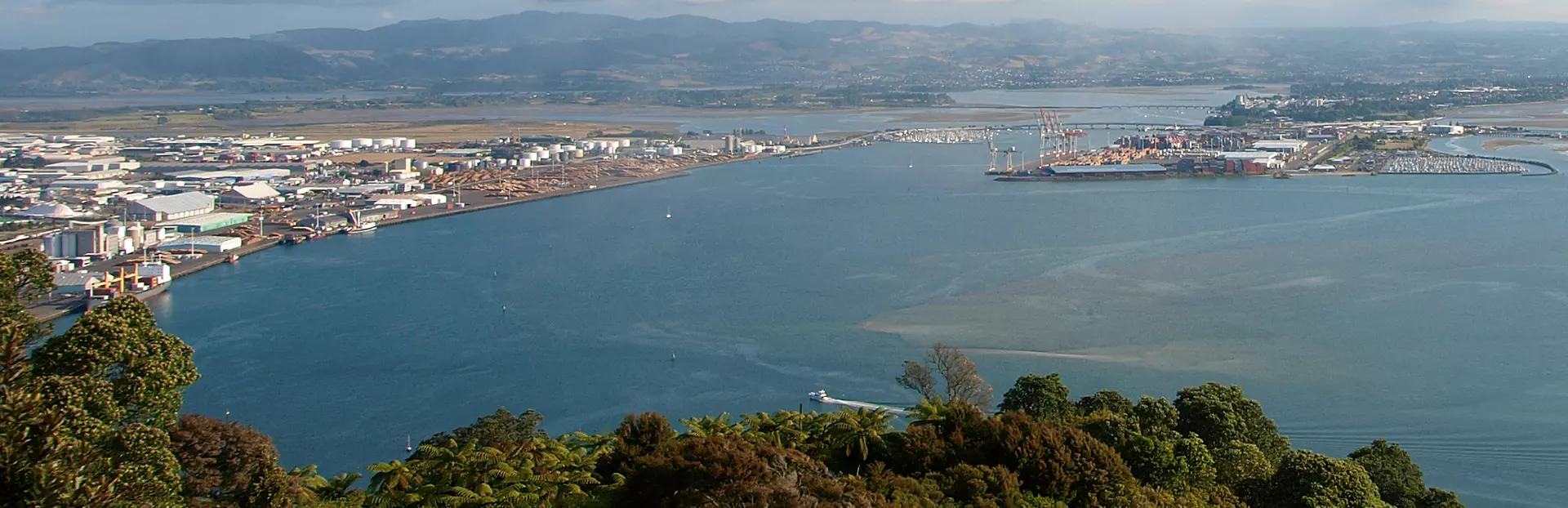 Tauranga