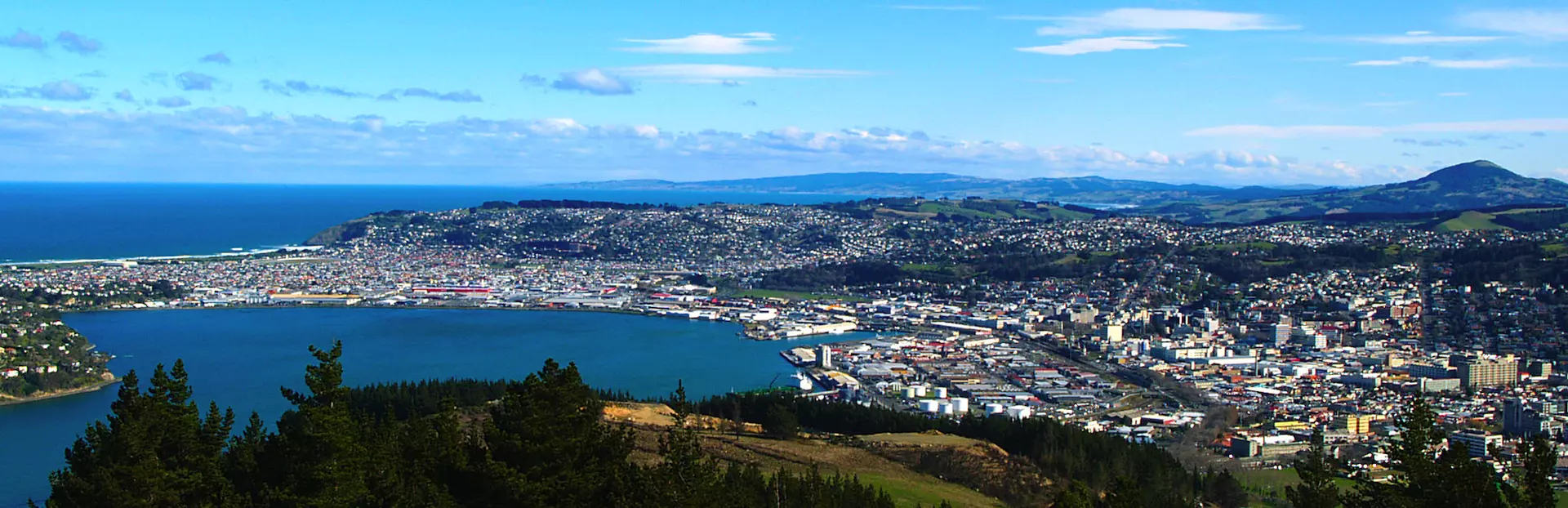Dunedin