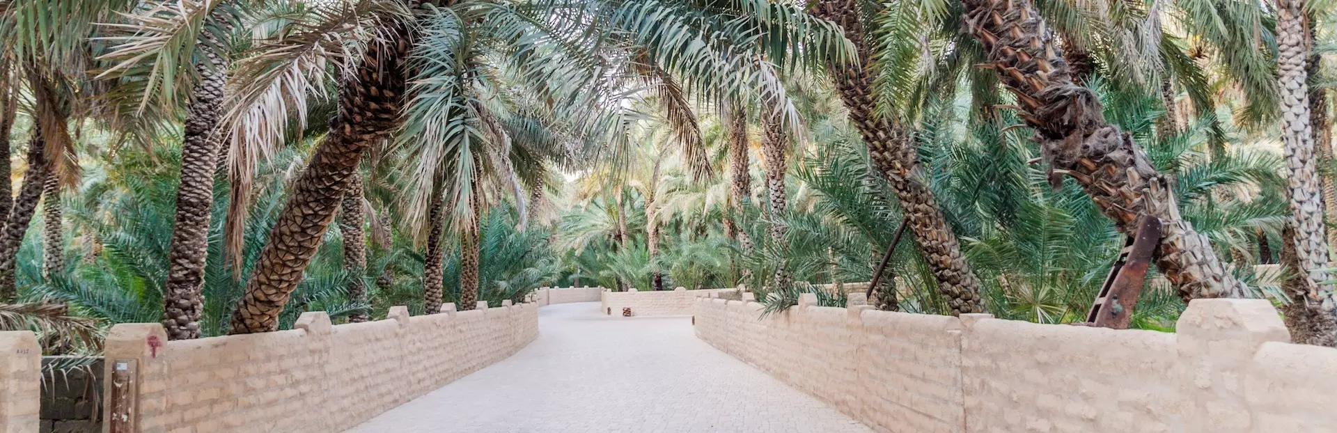 Music And Performance