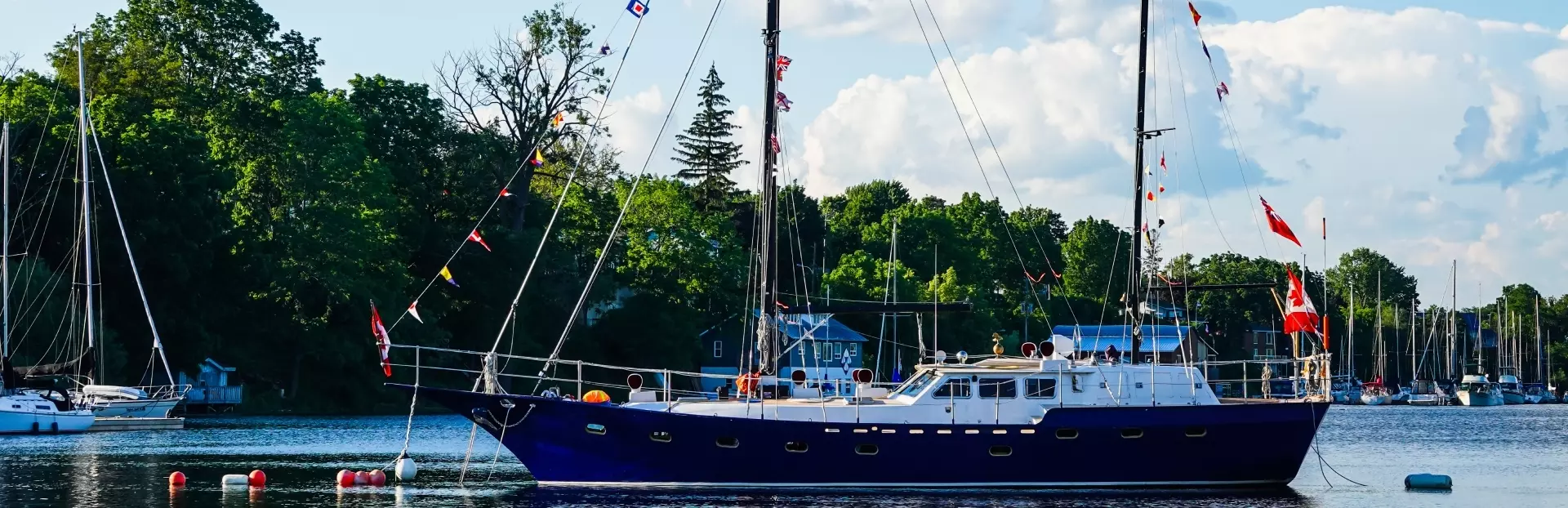 Scientific Discovery