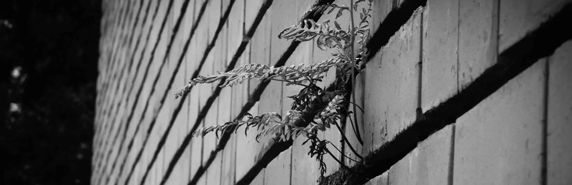 Cape Town audio tour: Landscape of Change