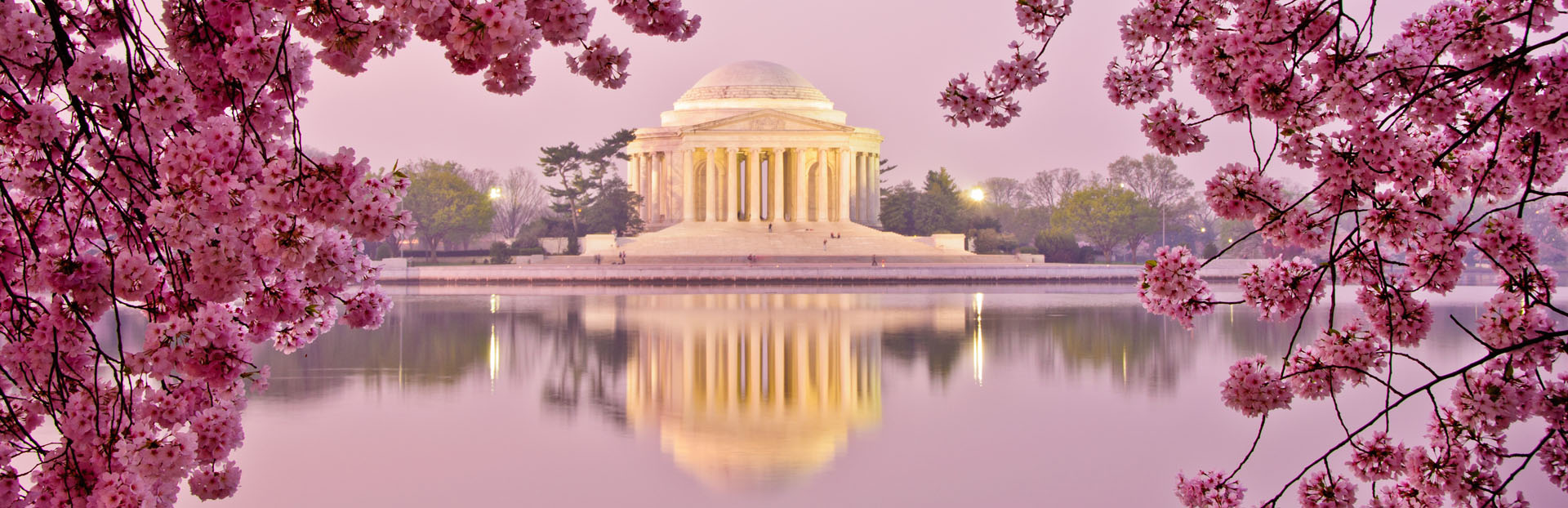 Washington, D.C. audio tour: A Blossoming Friendship
