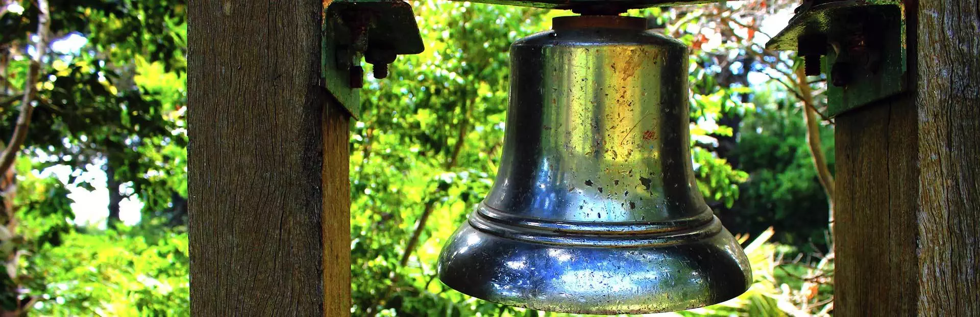 Cape Town audio tour: The Arderne Gardens