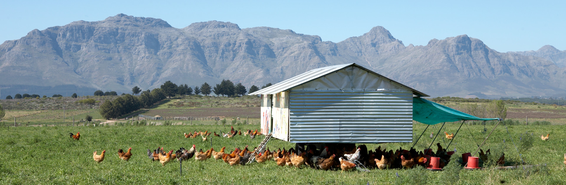 Cape Winelands audio tour: Walk the Spier Farm: Hotel