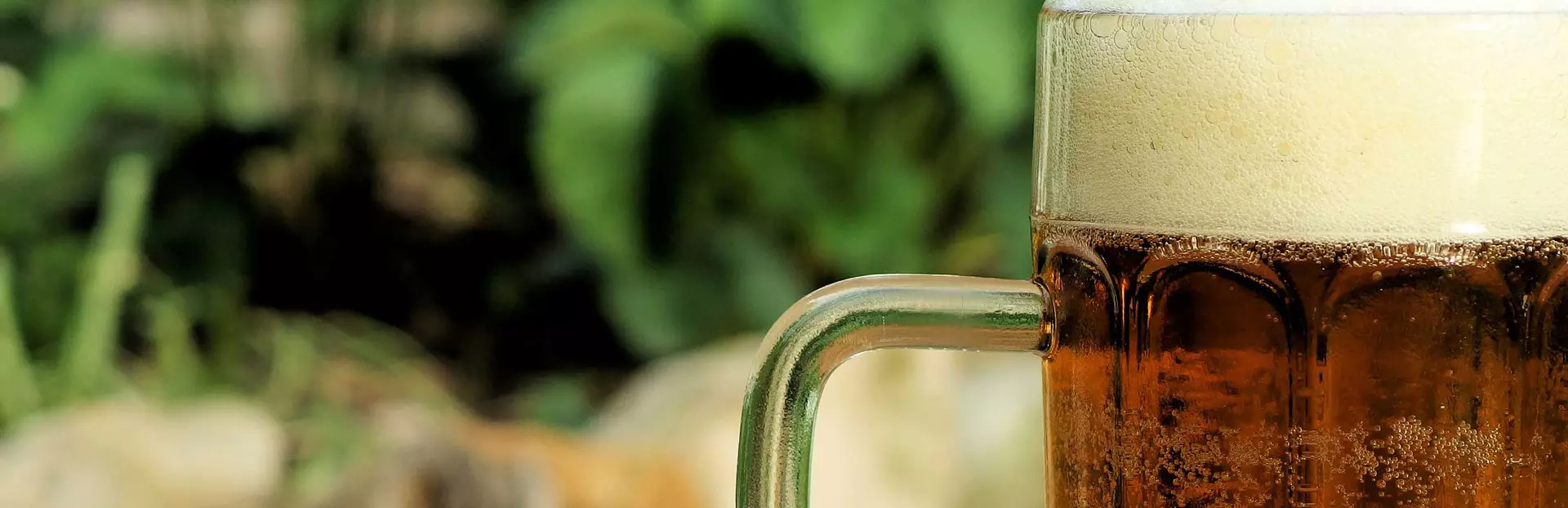 Cape Town audio tour: A Pilgrimage of Newlands' Breweries