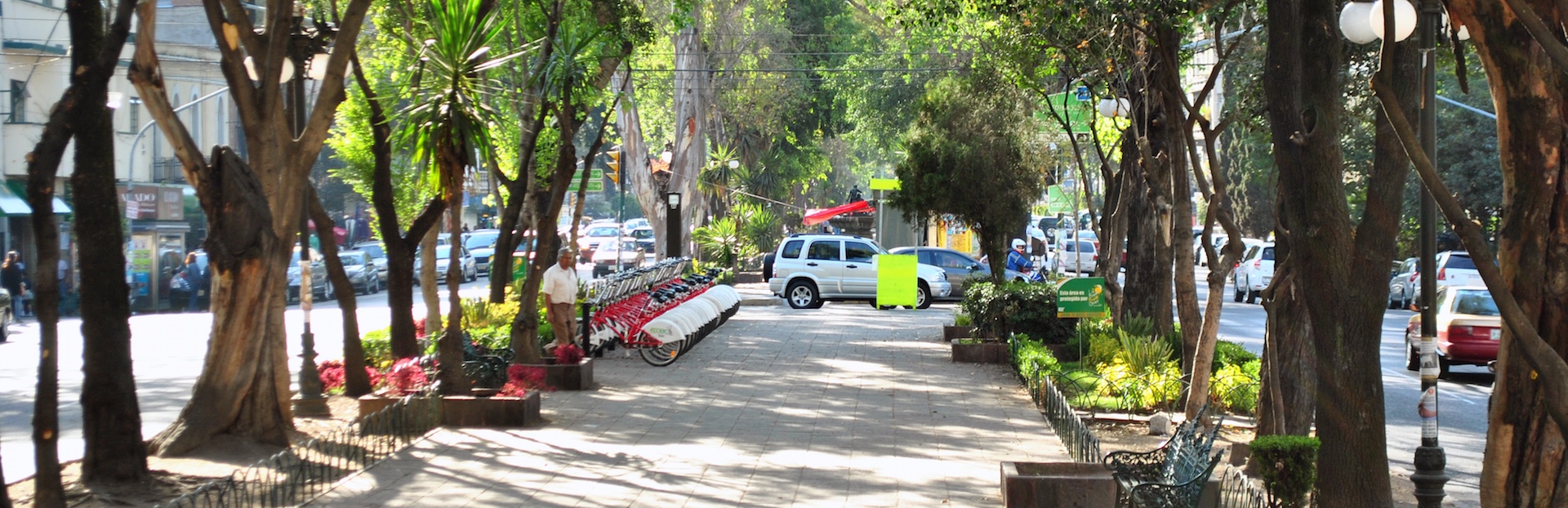 Mexico City audio tour: Mexico City Streets: La Roma