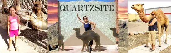 Quartzsite’s Camels: An Arizona Sculpture Tour
