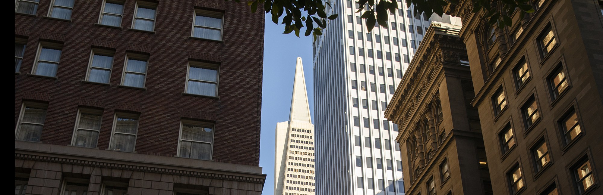 Image of Unfolding the Financial District: Design adventures in San Francisco's hub