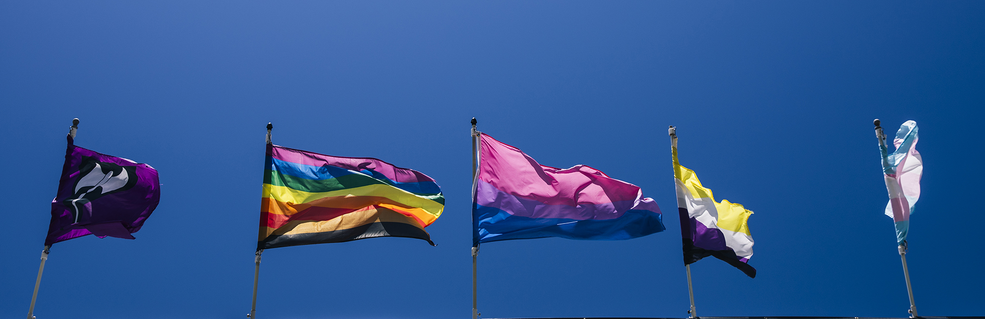 Image of Over the rainbow in the Castro: A tour of San Francisco’s preeminent gayborhood