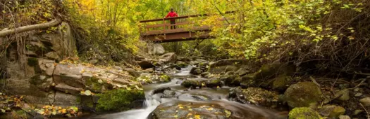 Wet & Wild: Naramata Falls Hiking Tour