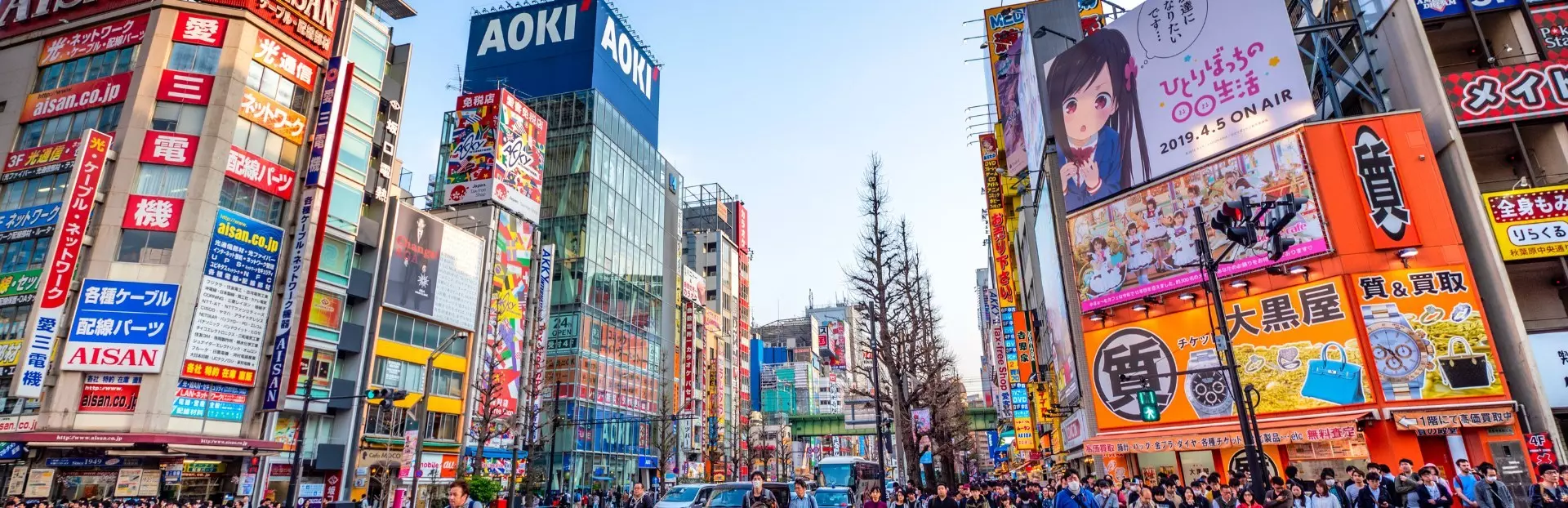 Tokyo audio tour: History and Architecture: A Tokyo Walking Tour with Context