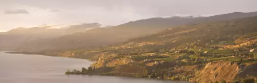 葡萄酒发烧友专属：纳拉马塔风土自驾之旅