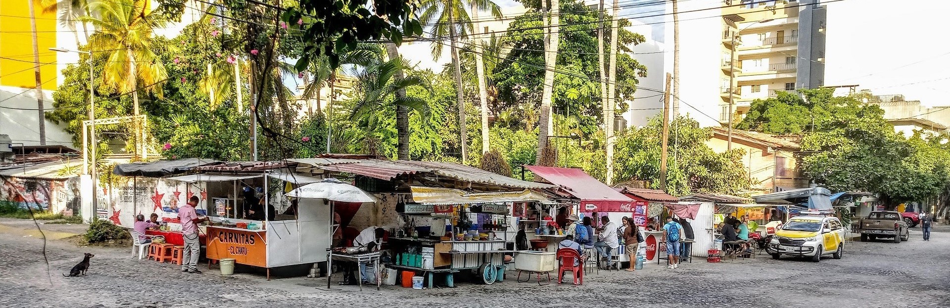Image of The Local's Neighborhood: A Tour of Puerto Vallarta’s Emiliano Zapata Colonia