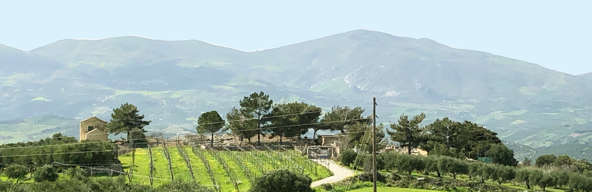 Image of De schatten van Knossos onthuld: vanuit Chersonissos door Archanes' wijngaarden