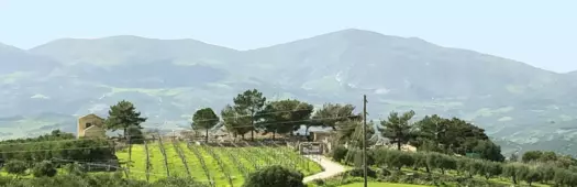 Knossos Schätze enthüllen: von Hersonissos durch Archanes Weinberge