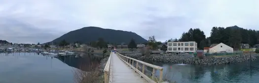 If Sitka's Trees Could Talk: A Historical Walk