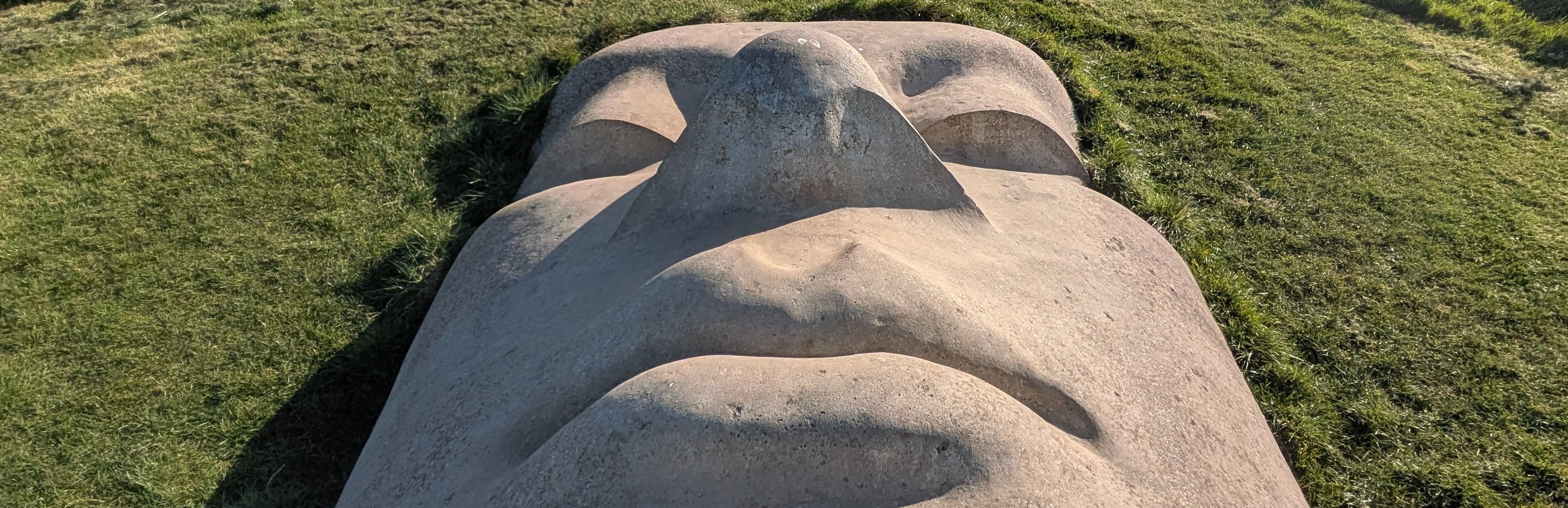 Image of Marlay Park’s Heritage: A Stroll through Dublin’s Playground