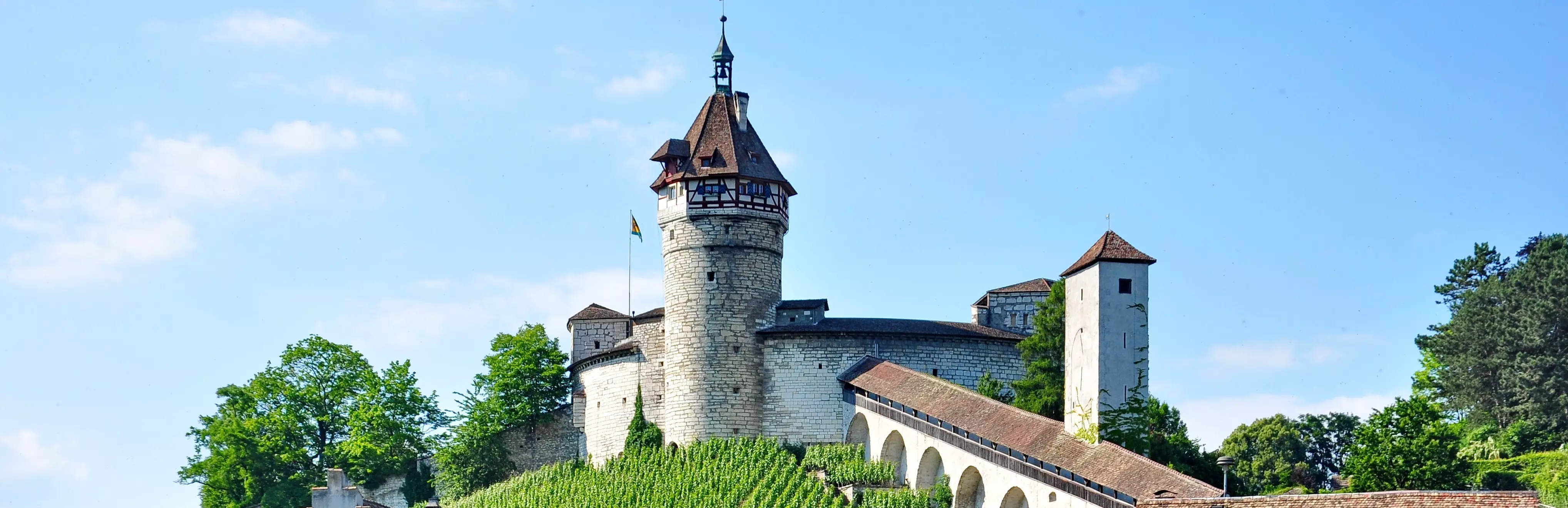 Schaffhausen audio tour: Pretty Schaffhausen: Medieval Gates, Painted Houses and Rhine Views