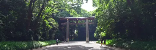 A Forest That Listens: A Meiji Jingu Forest and Garden Audio Guide