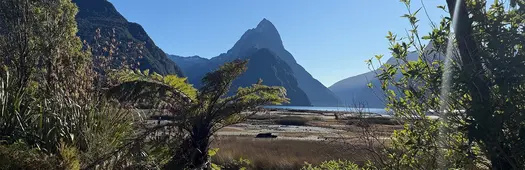Milford Sound Driving Tour: The Journey to Piopiotahi