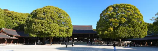 Meiji Jingu Audio Guide to Omairi: Ritual, Forest and Sacred Space