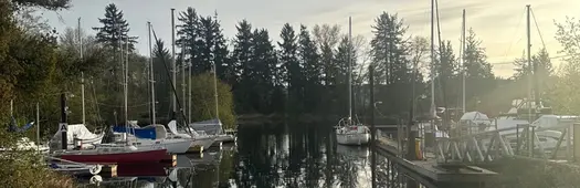 The Glacier-Whale and the General Strike: Comox Valley Walking Tour