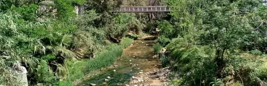 Athens Below the Surface: A Walking Tour of the Podoniftis Stream