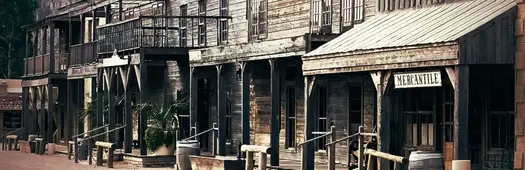 Jacksonville Gold Rush: Saints, Saloons and Hustlers Walking Tour