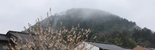 Lanterns, Legends, and Landmarks: A Miyoshi City Walking Tour