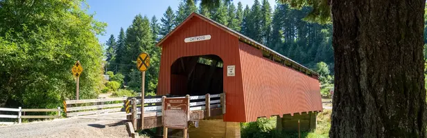 Shore to Valley: The Coast Range Drive from Newport to Eugene