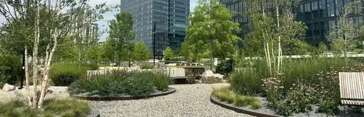 Harbor East and Harbor Point: A Baltimore Walking Tour